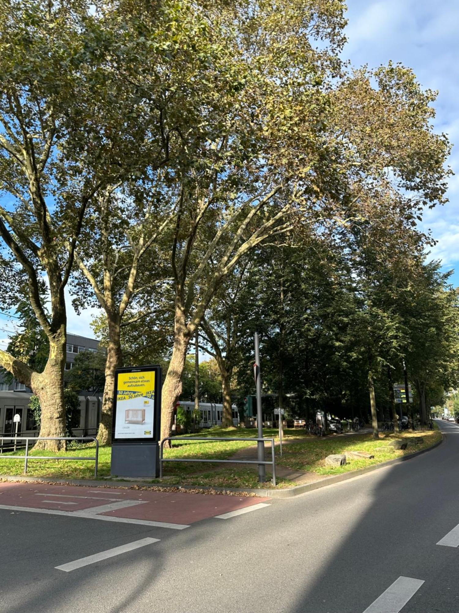 Schicke Wohnung, Innenstadt, Beliebtes Viertel * Cologne